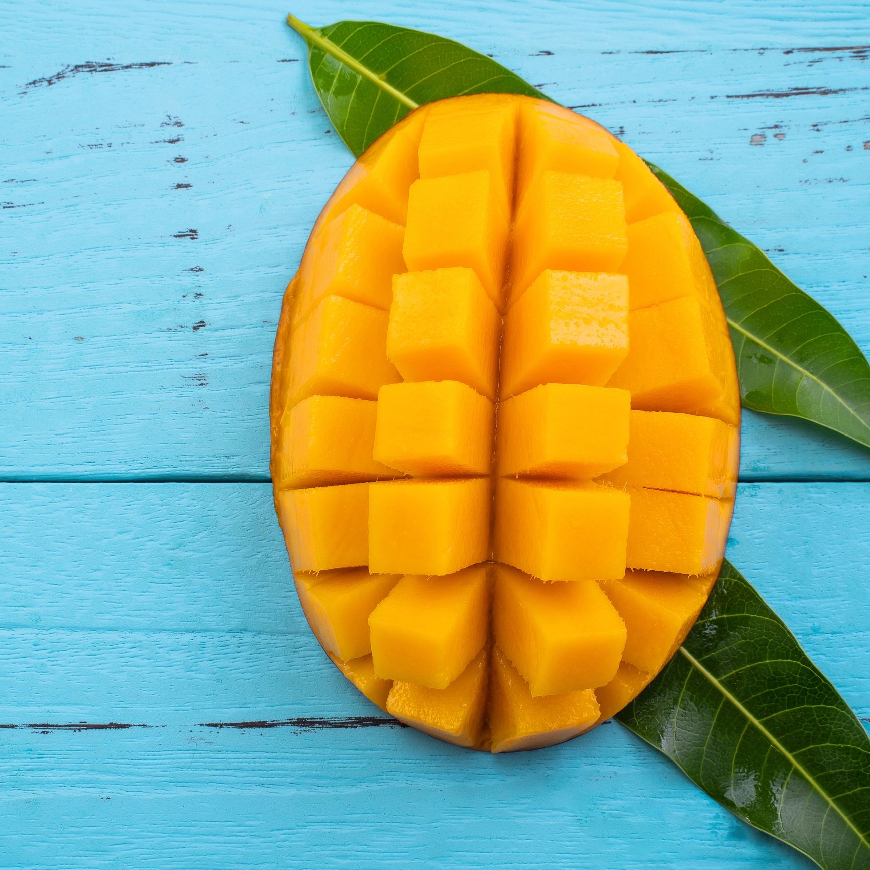Mango