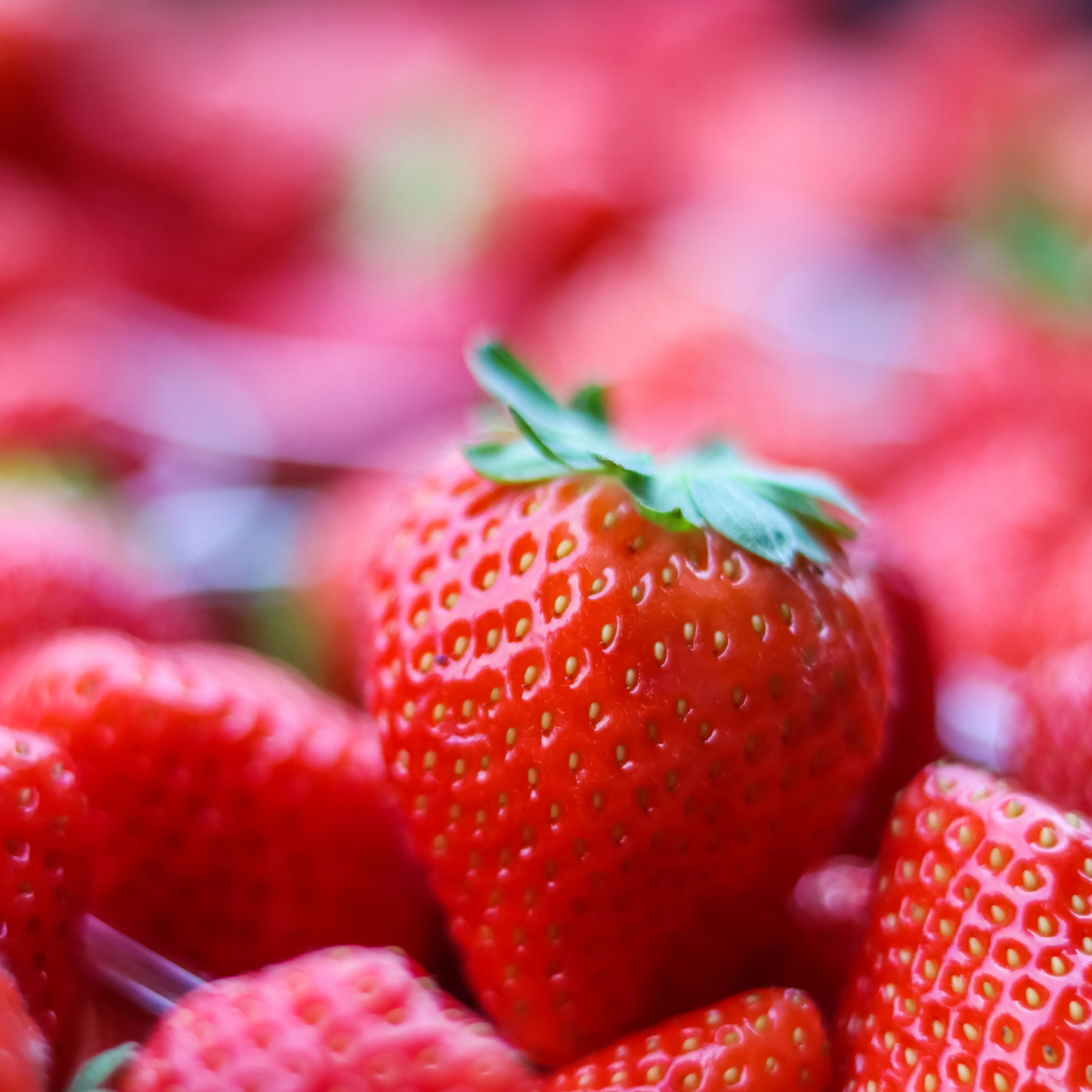 Strawberries close up